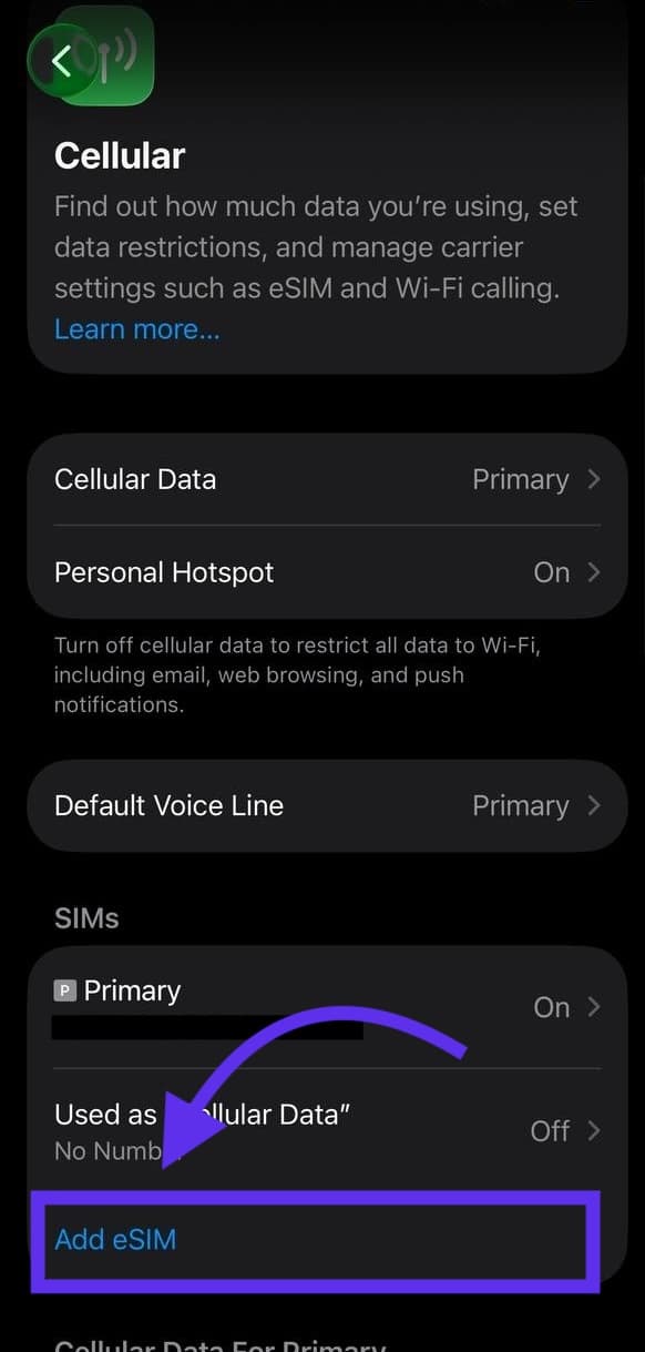 iPhone-ի Բջջային կապ էկրան՝ ընդգծված Ավելացնել eSIM տարբերակով